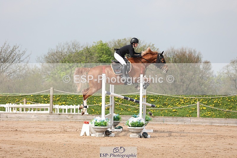 250424-110421-03373 - Cls 33 Young Horse 7yr old