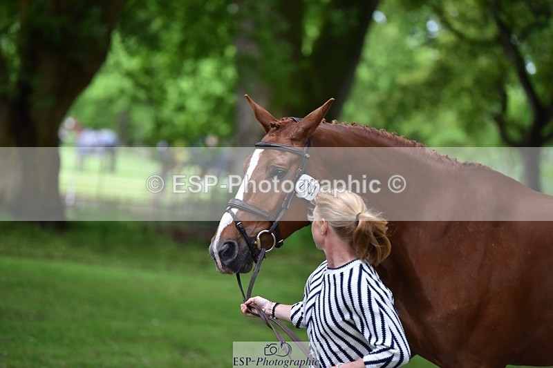 240522-170104-01326 - 233-SILVESTERS_FINESSE-Rosalind_Canter