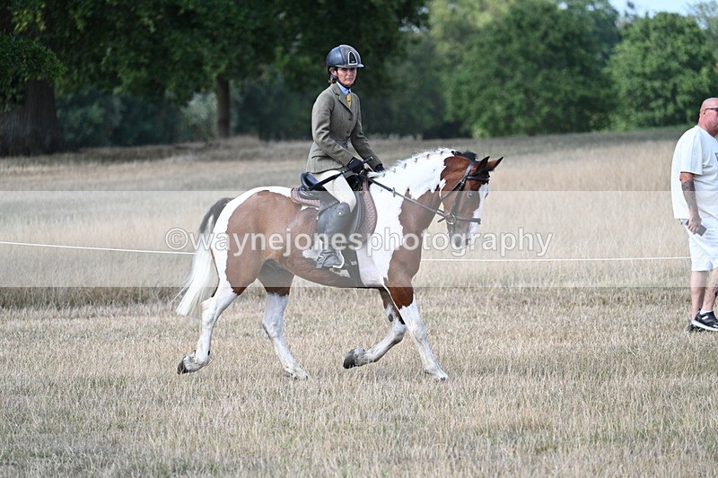 WJ7_6729 - Class 14 Ridden Coloured