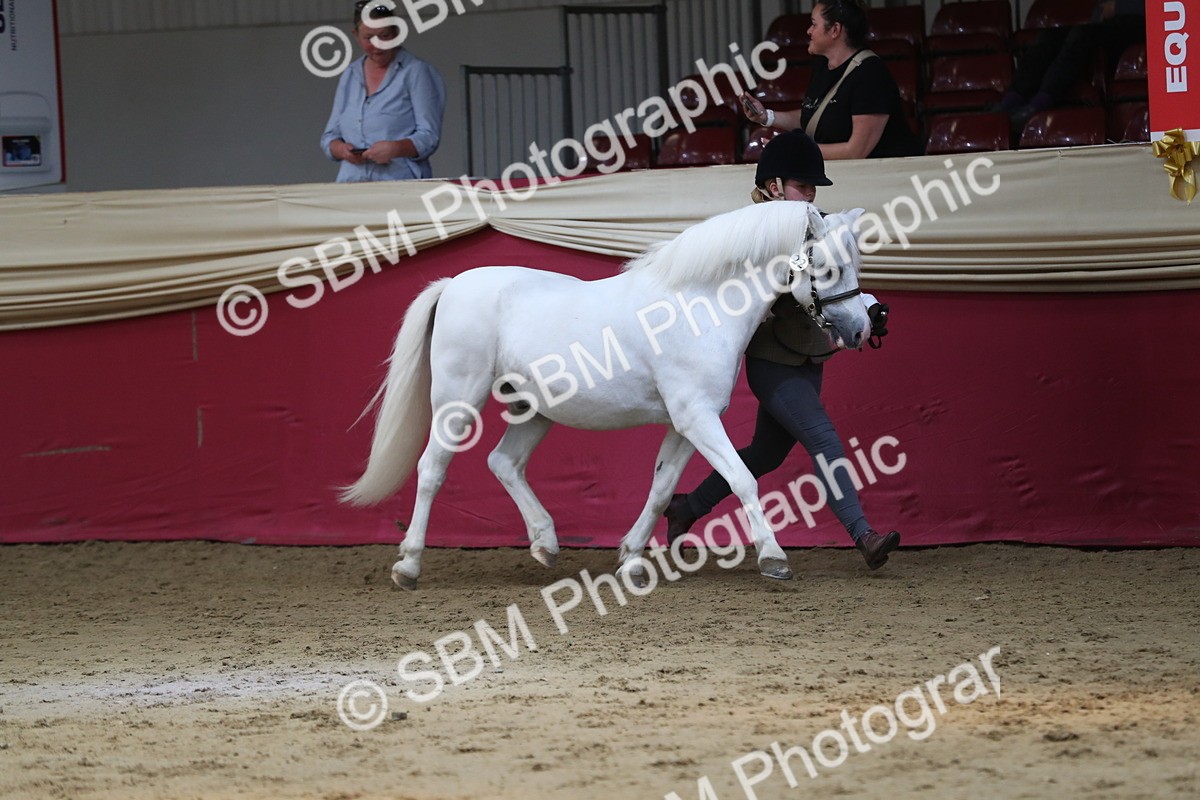 SBM_04927 - Class 8R- Regional -IH Veteran