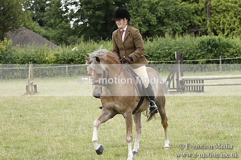 BVR160717-134 - Ring 3 BVRC Show 16/07/17