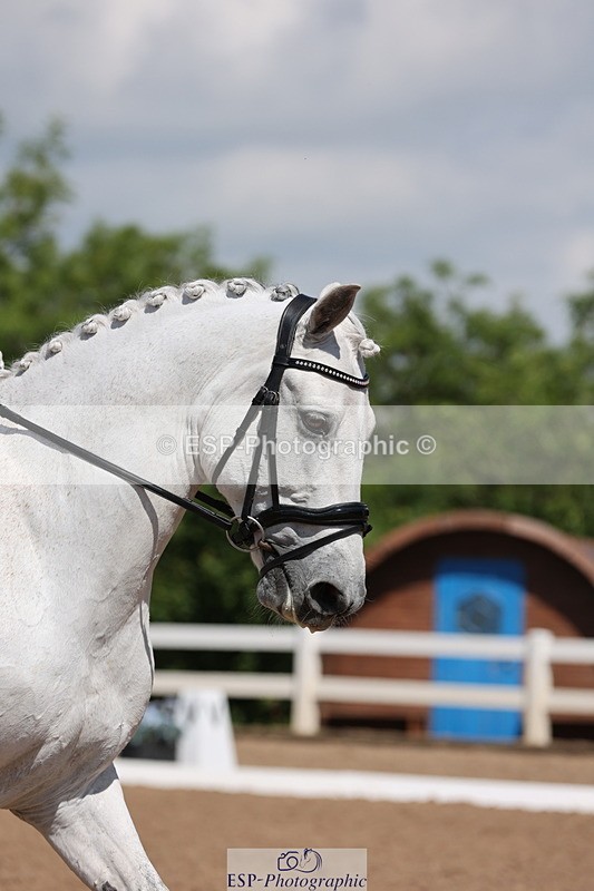 240621A-110018-00324 - Cls 9 BD Music Elementary