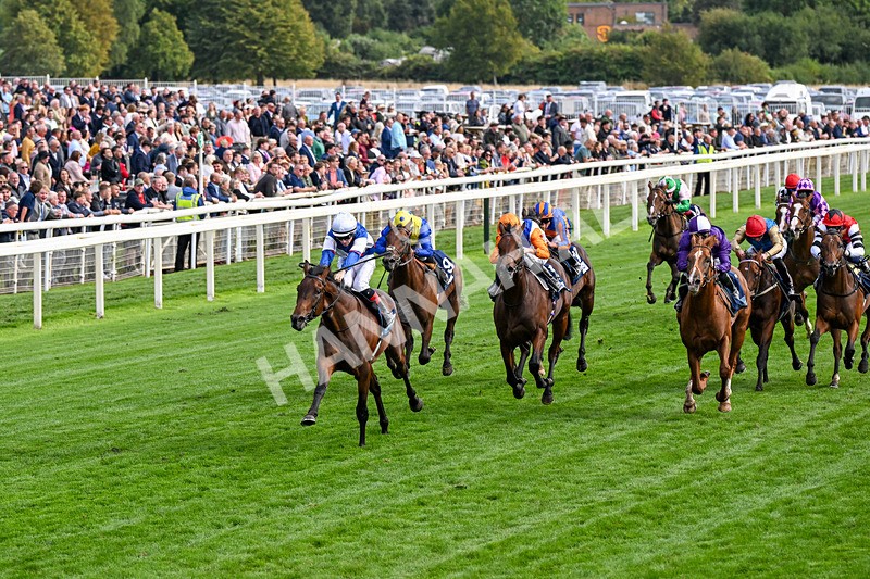 210826-Race 6-Benjamin Hornigold-0356 - Race 6 16.45pm British Stallion Studs EBF Convivial Maiden Stakes