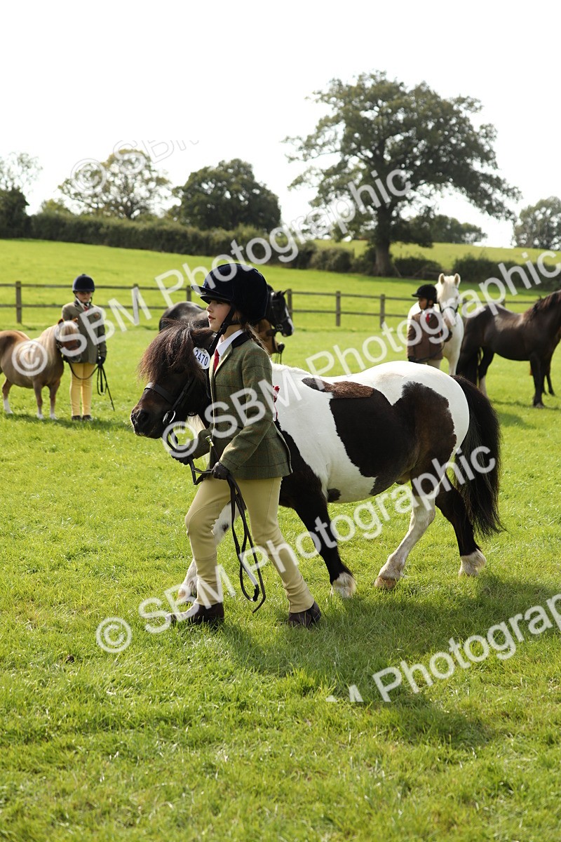 SBM_67753 - S39 - Junior Handler 8  Years & Under