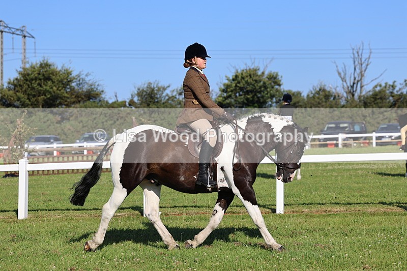 IMG_1369 - Class 28: Ridden Plaited Coloured Pony