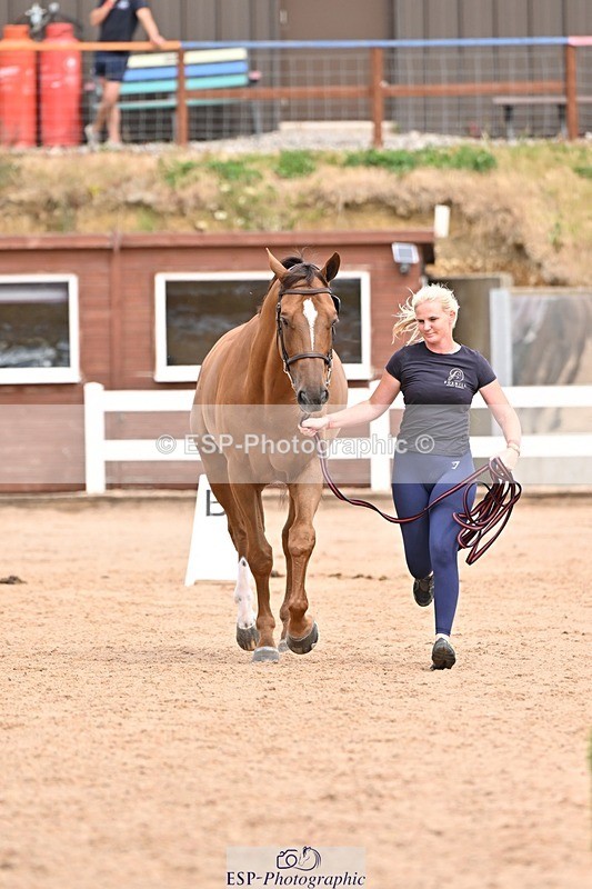 250716-154107-02111 - Trot Up 3.30 to 4.30