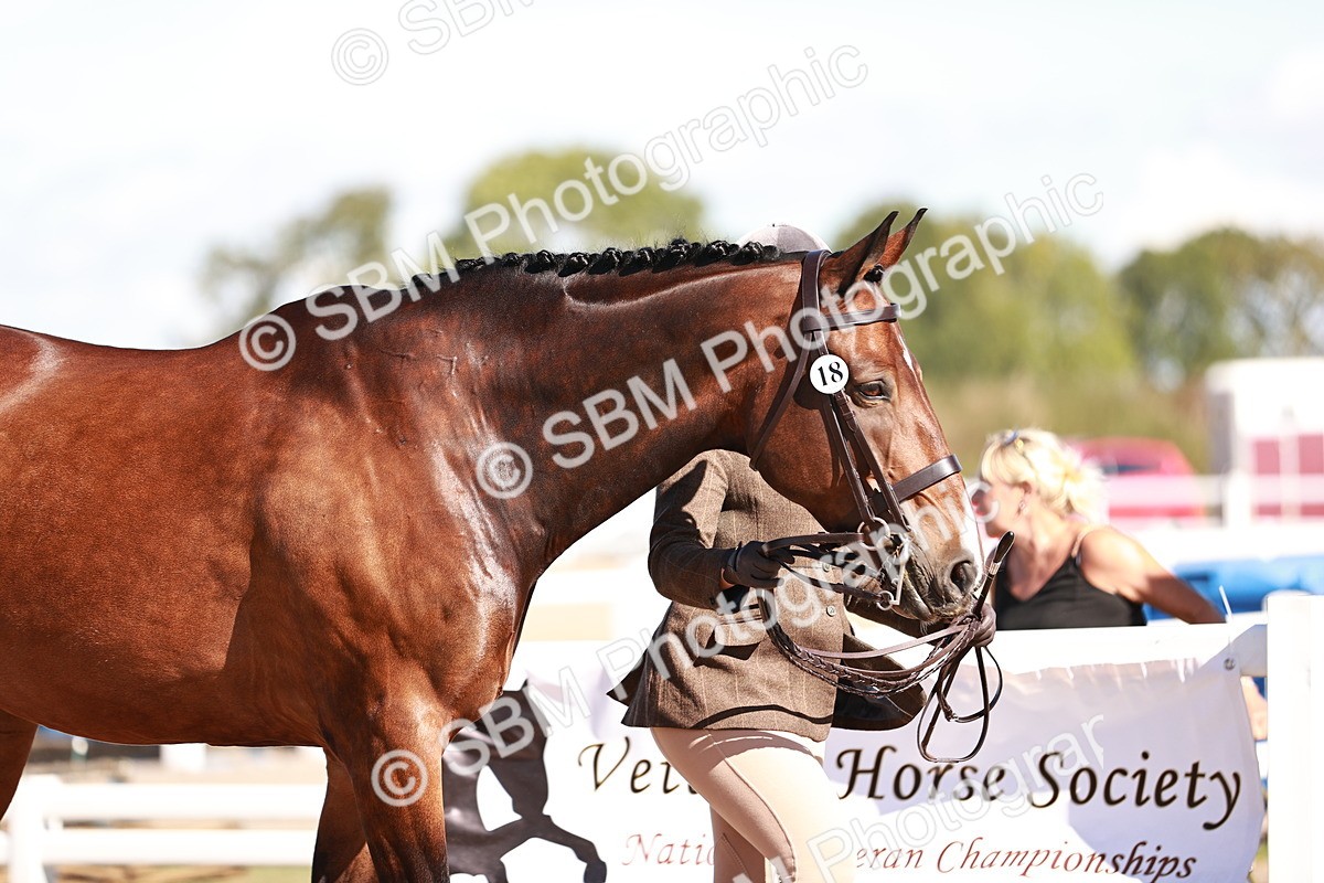 SBM_13268 - class 406 - IH Hunter