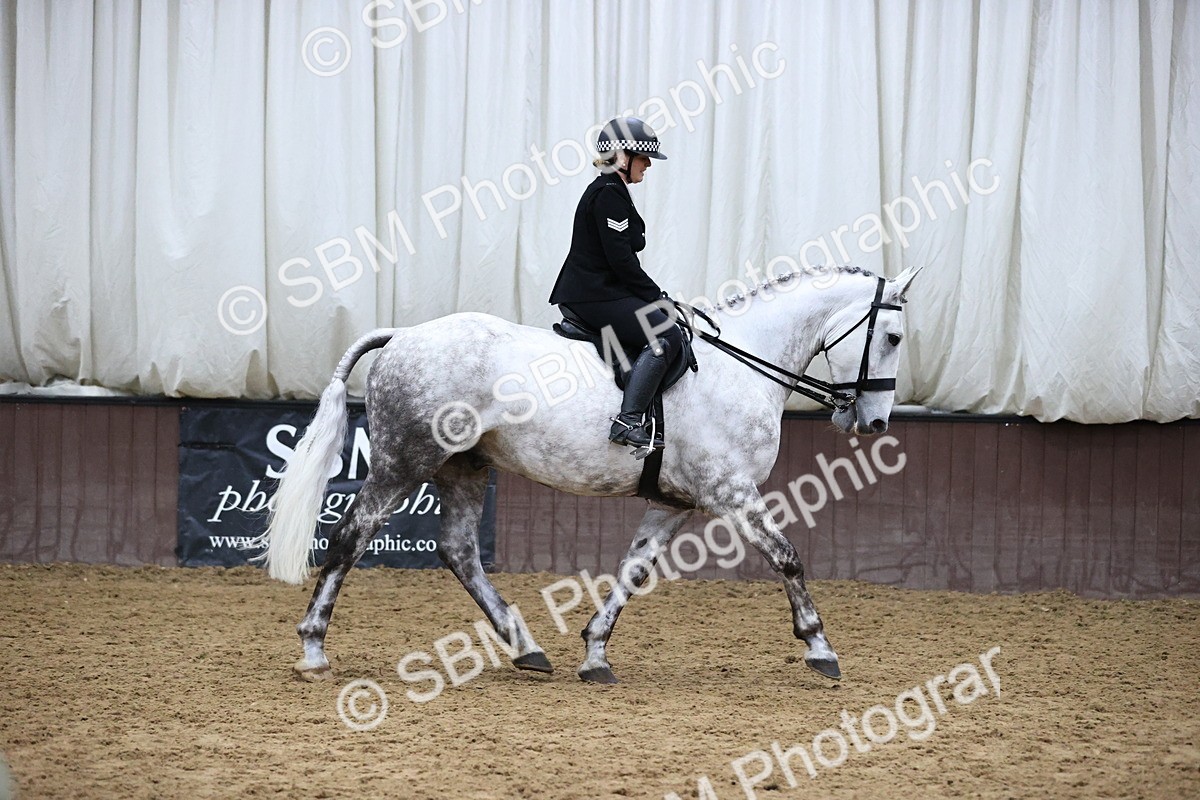 SBM_6302 - Class 17 - IDHSG Challenge Pure Breed
