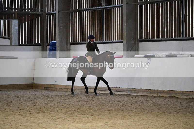 WJ5_8884 - Class 15 Ridden Show Horse