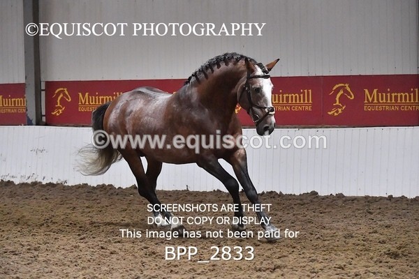 BPP_2833 - LOOSE JUMPING / SPSS