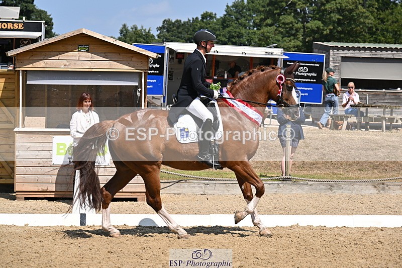 250810A-123816-06499 - Intermediate I SILVER Presentations