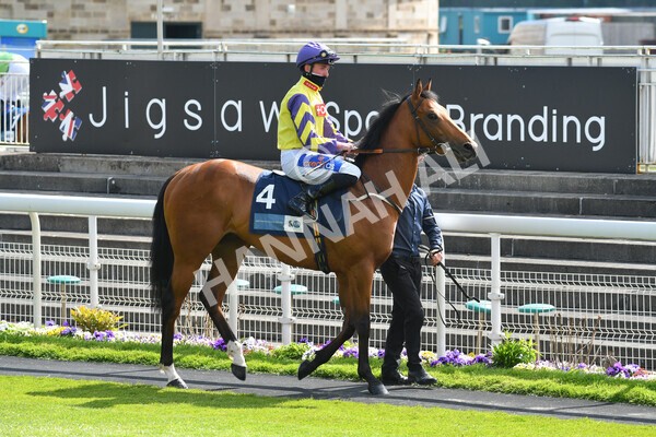 yr13052021r5-2 - Race 5 3.40pm British Stallion Studs EBF Westow Stakes
