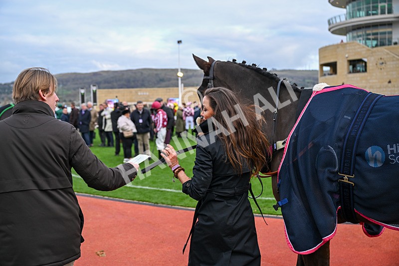 161125-Race 3-Cabhfuilfungi-5783 - Race 3