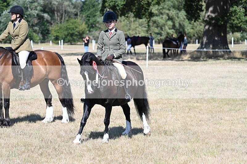 WJ7_4132 - Class 9 Mountain & Moorland Ridden
