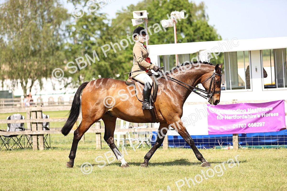 SBM_18086 - Class 81-83 - TSR Ridden Amateur of the Year - Horses