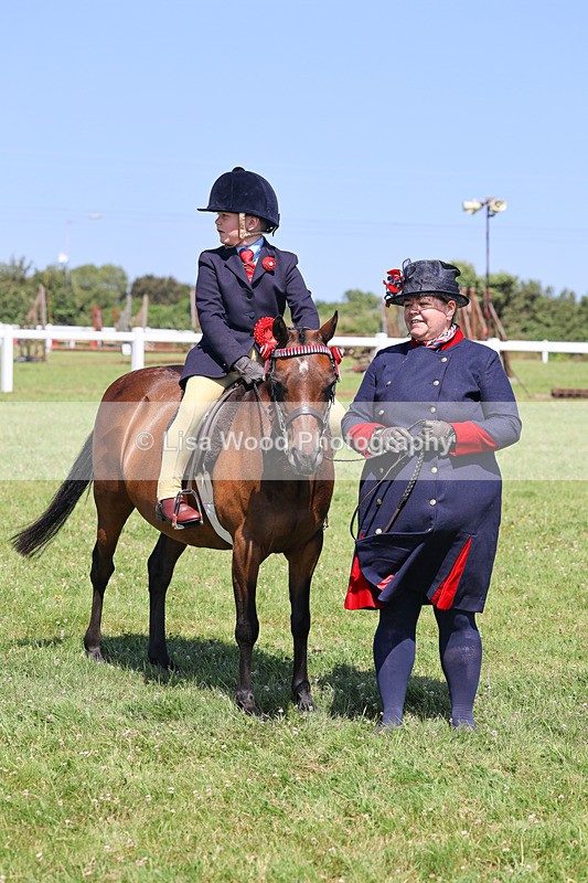 IMG_2195 - Class 36: Part Bred Ridden M & M