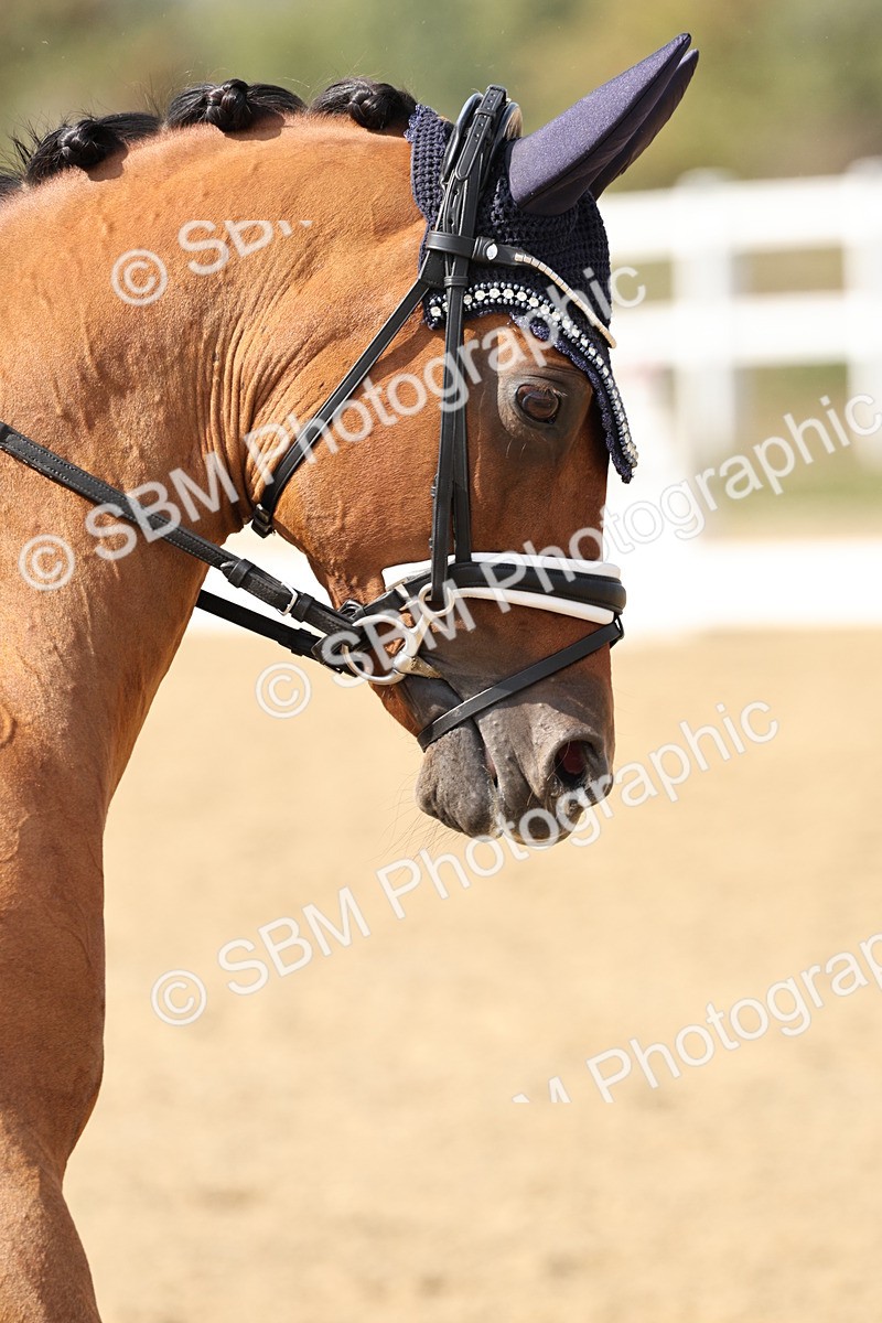 SBM_014849 - Class 7 - Medium 3