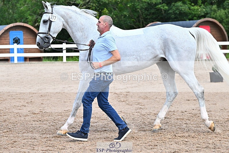 240718A-105253-01280 - Trot Up 12pm to 1pm