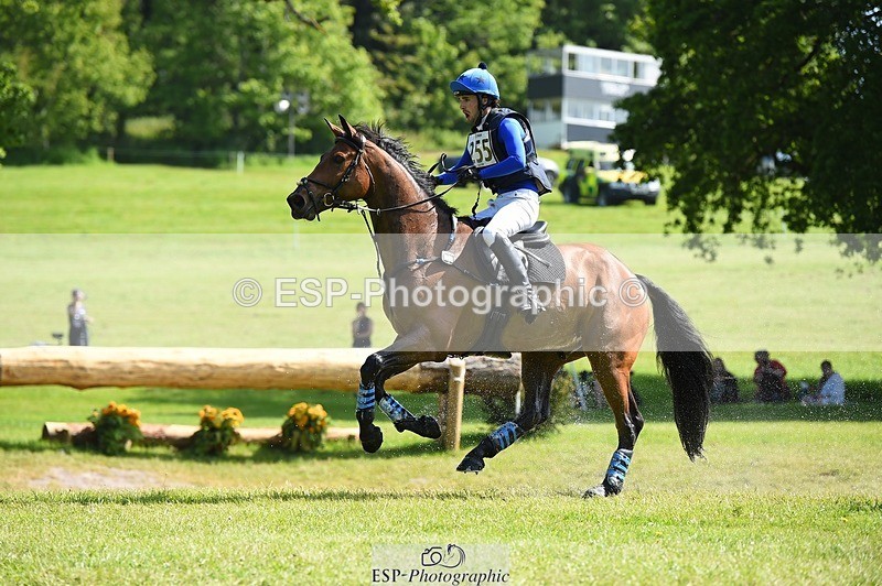 230527-102544-08550 - 255-HI_MR_HENRY-Henry_Hobby-XC