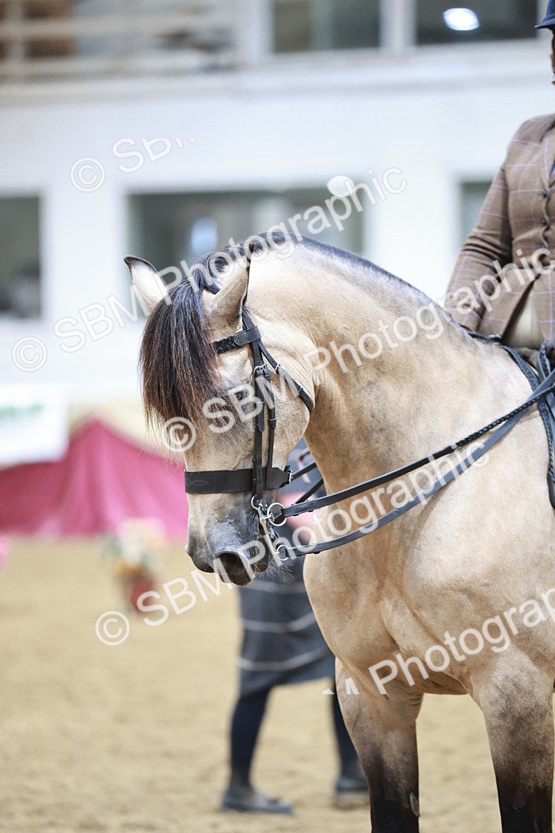 SBM_09018 - Class 12R - Regional Ridden Pre-Vet