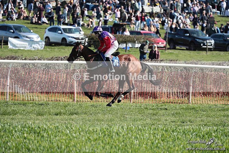 PtP 210326 279 - VWH Cirencester Races 21/03/26