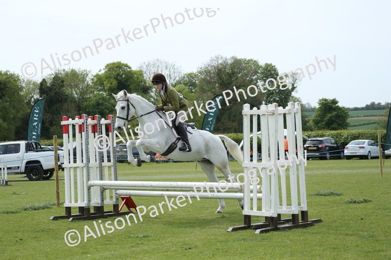 20260426-2065 - Class 15 - Absolute Novice 70cm
