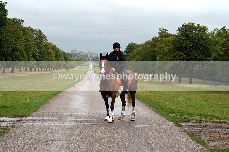 TT3_8228 - Time at Crossing 10:16 to 11:38