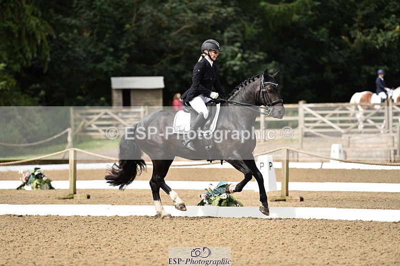 140109A-230856-08395 - 088-Carolyn.Galemully-brook.sylvester