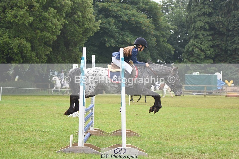 230618-102208-10388 - Cls 28 British Novice & 80cm Open