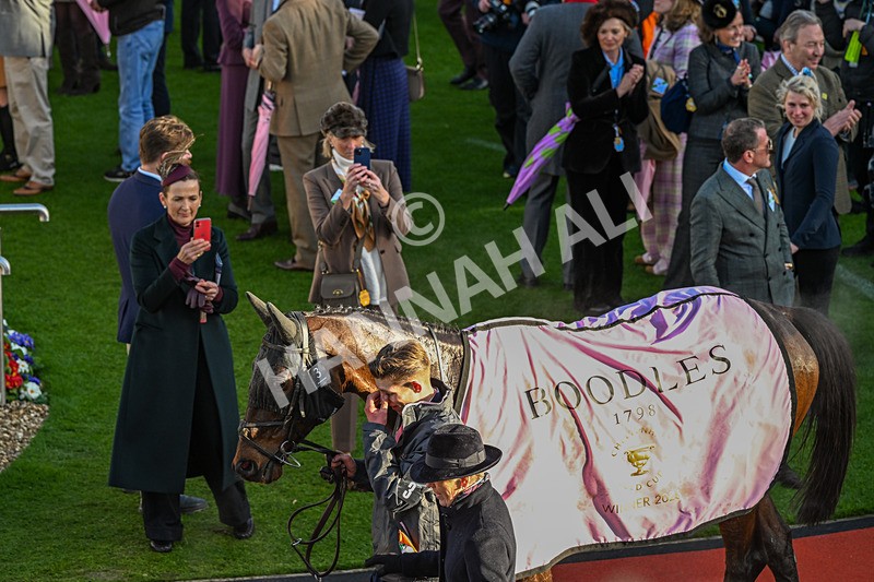 130326-Race 5-Gaelic Warrior-2972 - 13th March