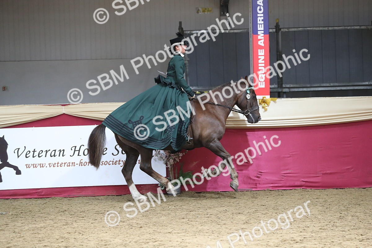 SBM_12212 - Class 107 Ridden Costume- Astride Adult (20+)