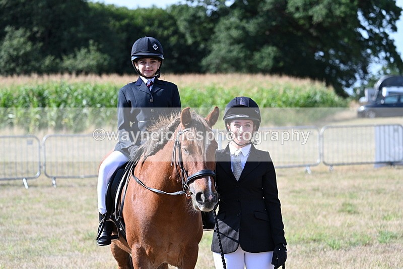 WJ7_2764 - Class 8 Ridden Tack & Turnout