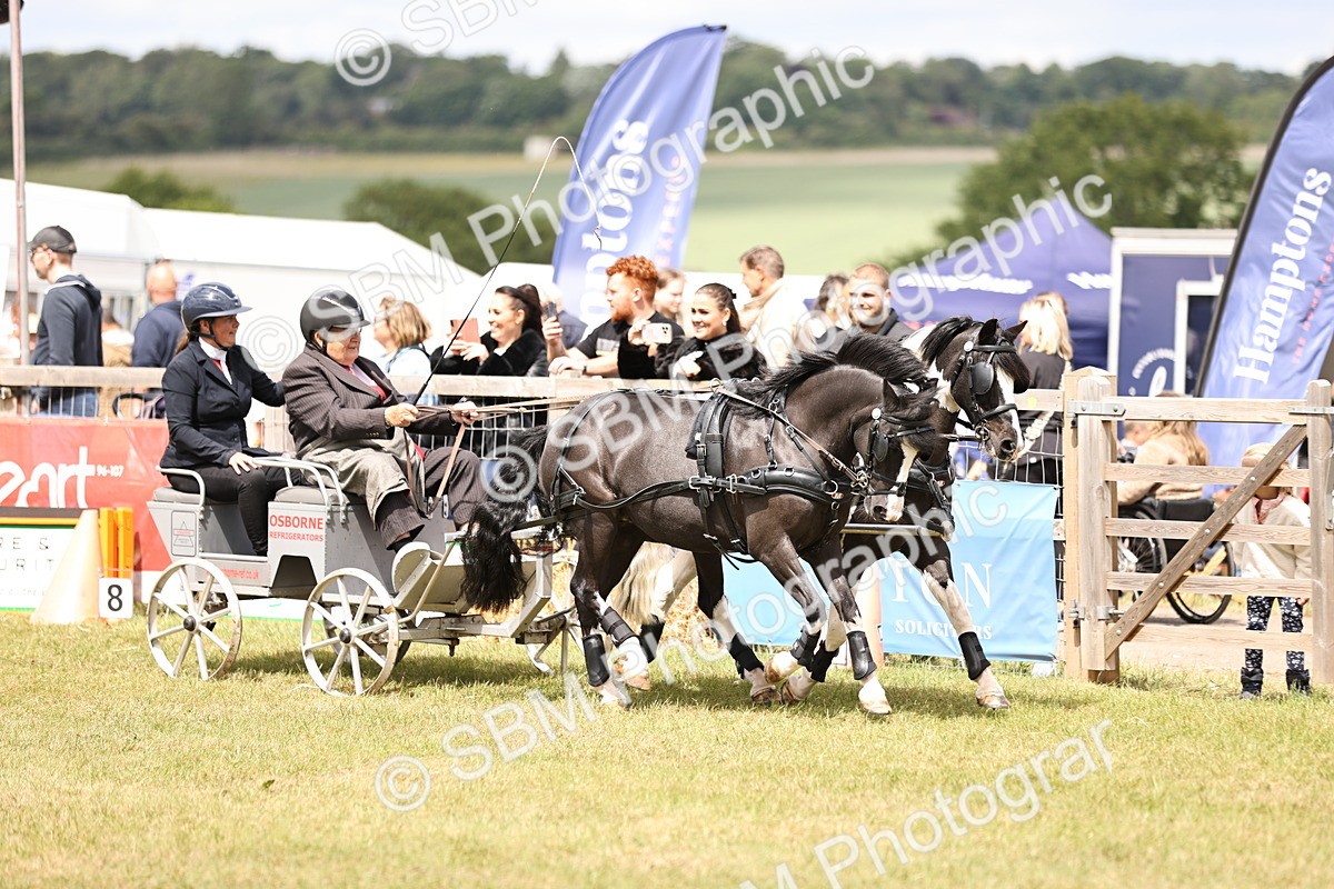 SBM_16136 - Class 91 - Scurry  exceeding 122cms
