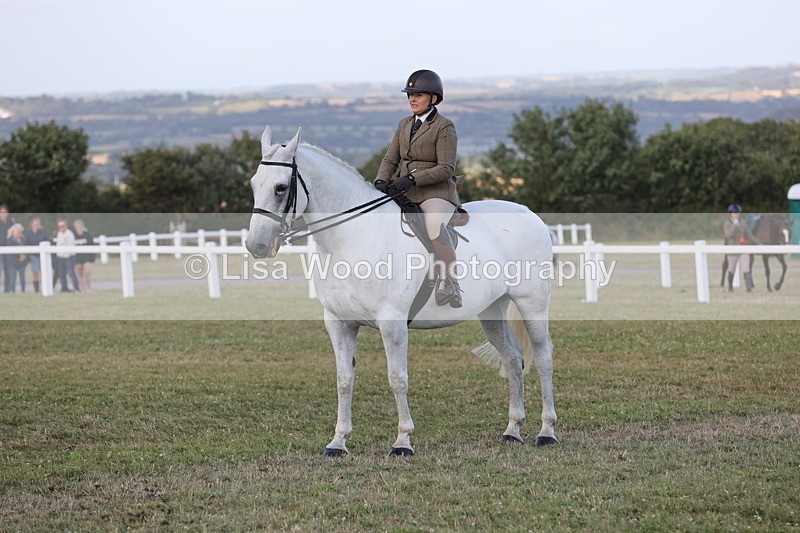 JPP_3557 - Class 22: Working Hunter 90cm