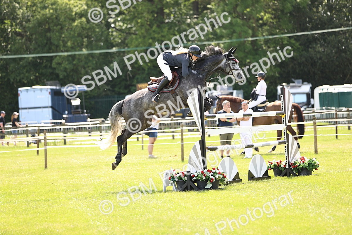 SBM_04027 - Class 201 - British Horse Feedds Speedi Beet HOYS Grade C