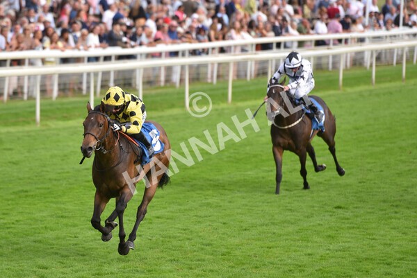 yr23072021r3-28 - Race 3 7.00pm The JKH 80th Birthday Celebration EBF Novice Median Auction Stakes (Plus 10 Race)