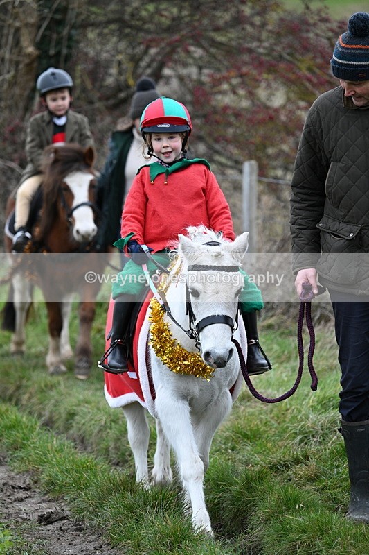 WJ7_0969 - First Seen