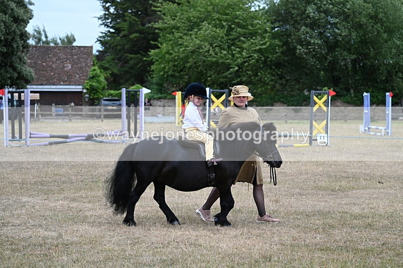WJ7_8504 - Class 4 Prettiest Mare up to 14.2hh