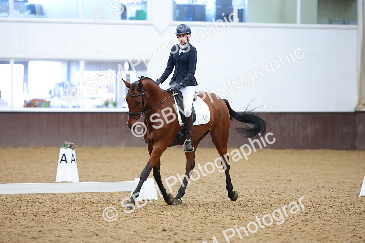 SBM_003137 - Novice