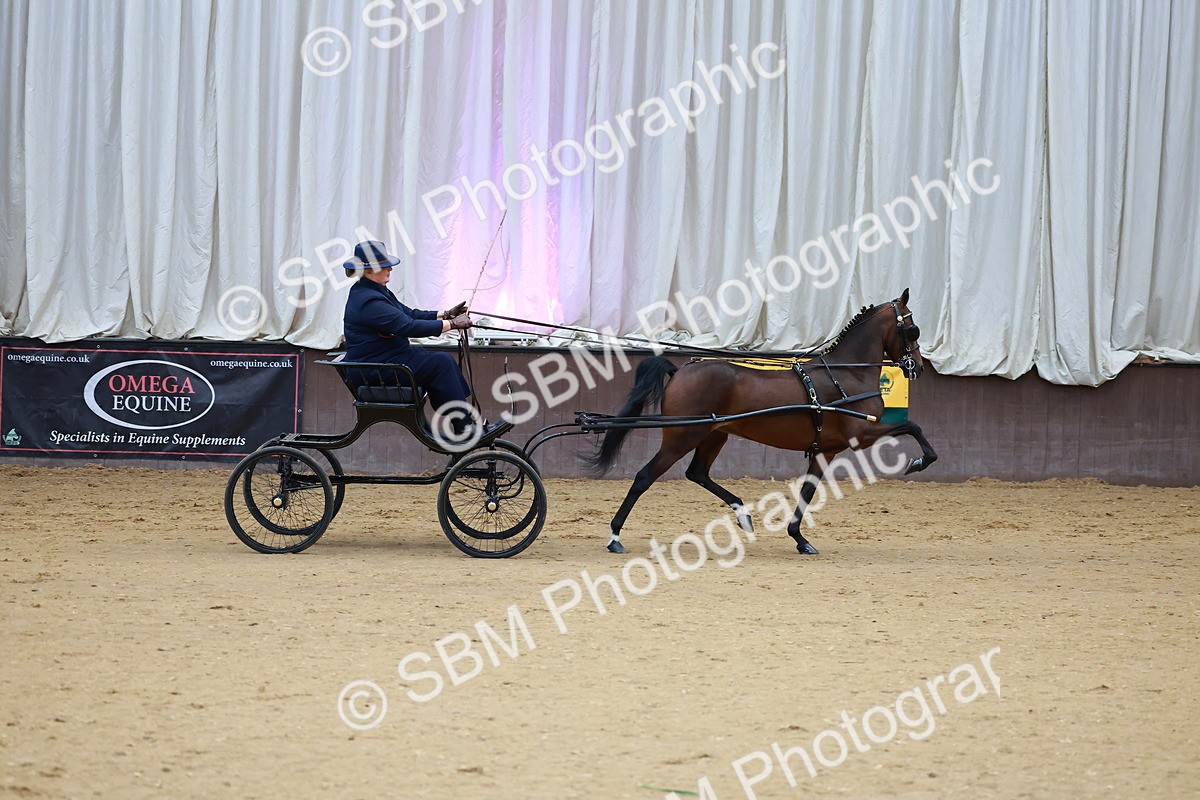 SBM_000664 - Class 9 - HHS Championship Intl Hackney Pony to a Showwagon