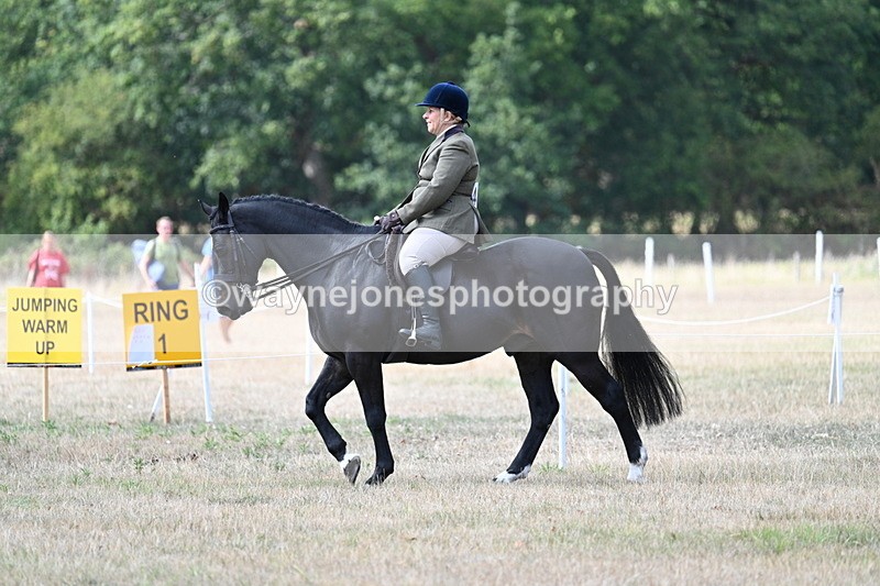 WJ7_5773 - Class 13 Ridden Veterans