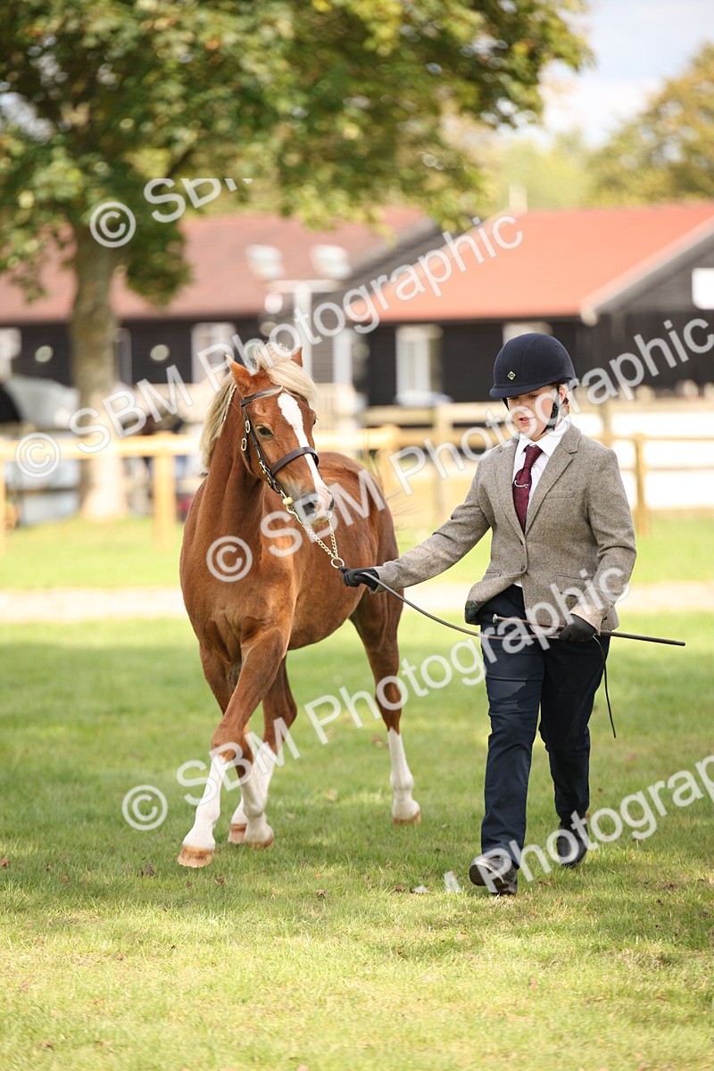 SBM_44492 - S24 - Young Veteran in hand