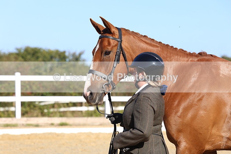 3E7A5231 - Class 7: Novice Ridden Hunter/Hack/RH/Cob