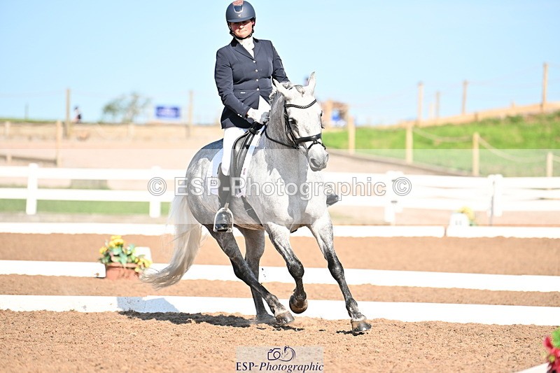 240816A-164253-06251 - 226-Sonya.Fitch-Peyton-THE.GREY.SWALLOW