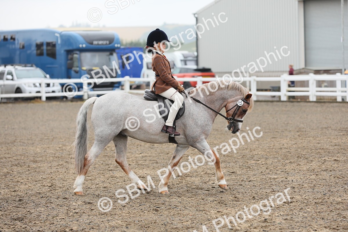 SBM_21820 - Class 806 - Young ridder 10 Yr & Under