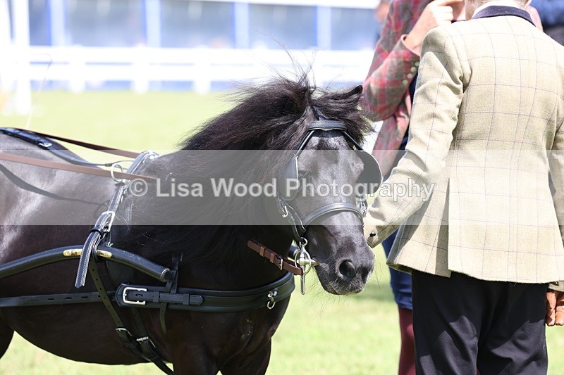 3E7A2771 - Class 12: Open Driving