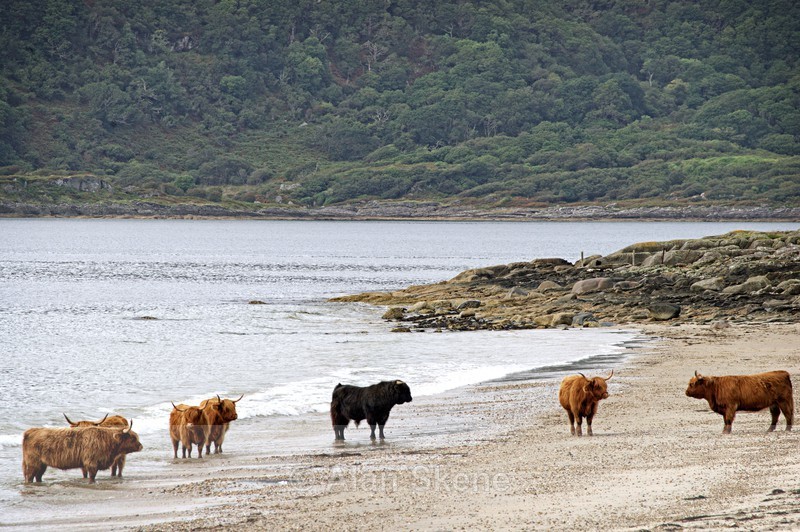 DSC00782 - the sea