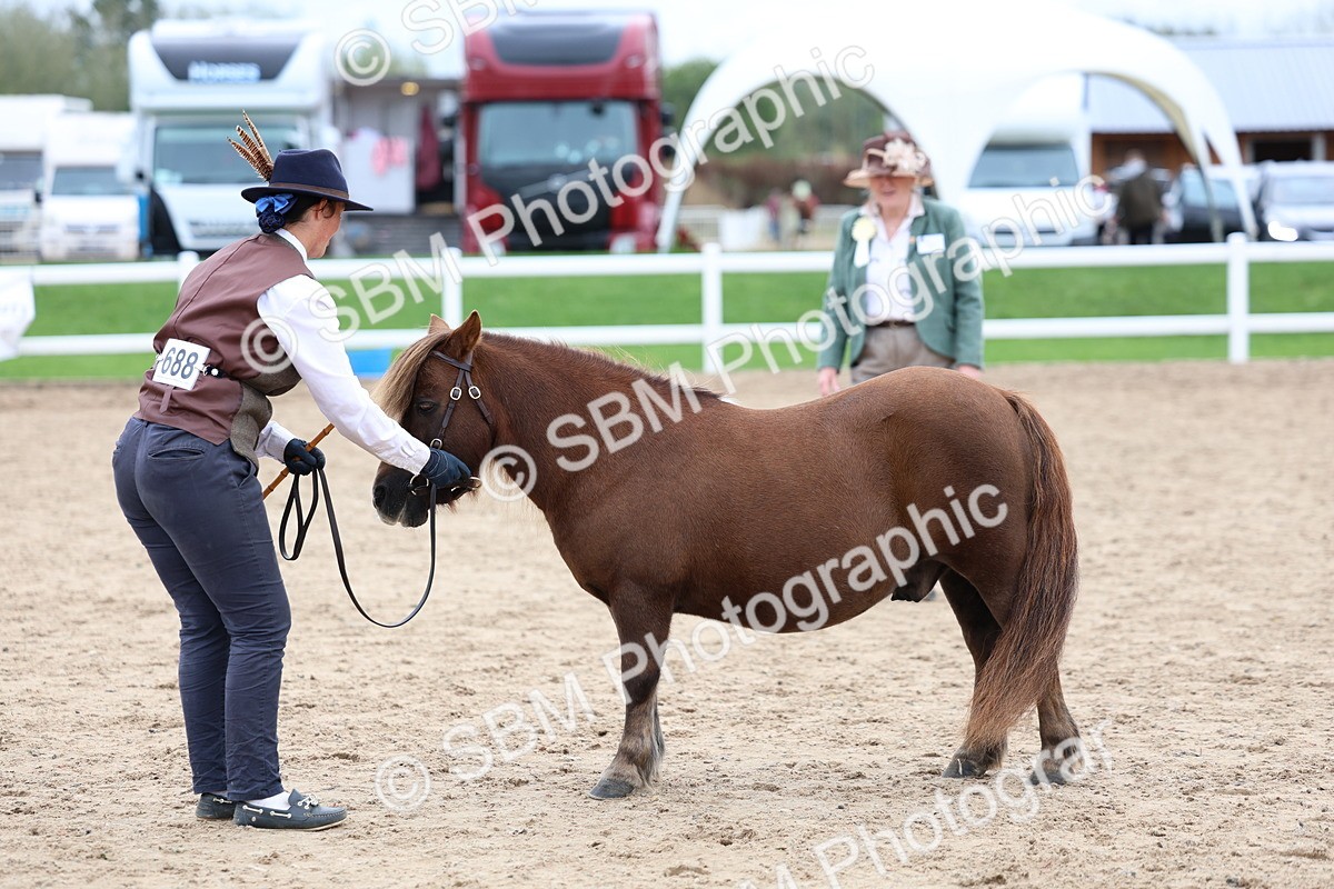 SBM_05949 - Class 29 - IH Veteran Pony