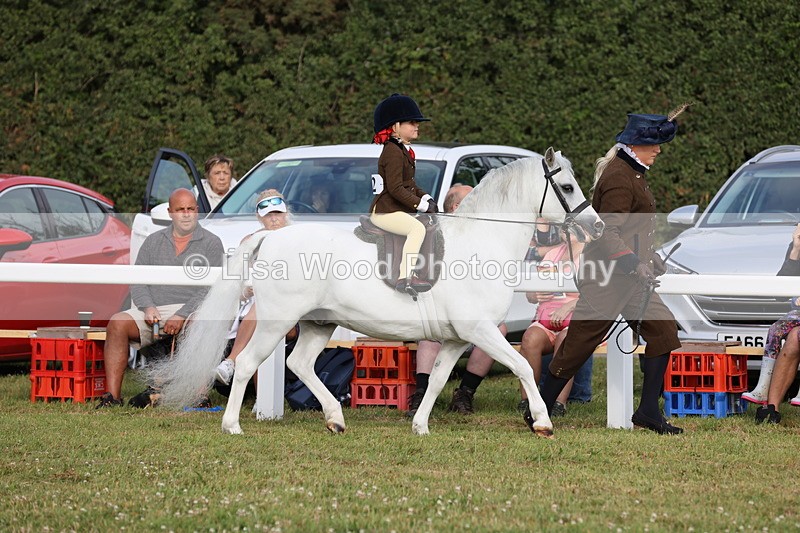 JPP_0254 - Class 14: Cornish Combination Leading Rein