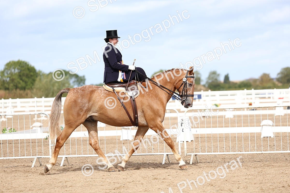 SBM_03285 - Class 22 - SSA Equitation (any age)